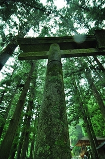 NSD_jinjyanotorii500-thumb-350_jpg350%25-2766.jpg