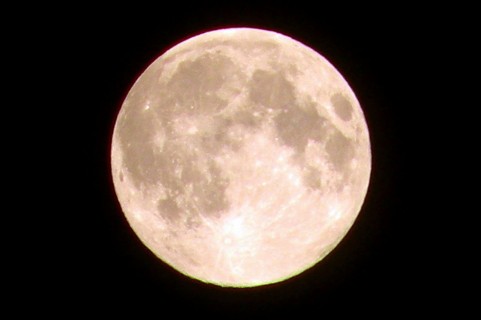 a1380_001289.jpg