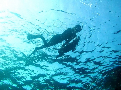 resize1.jpg